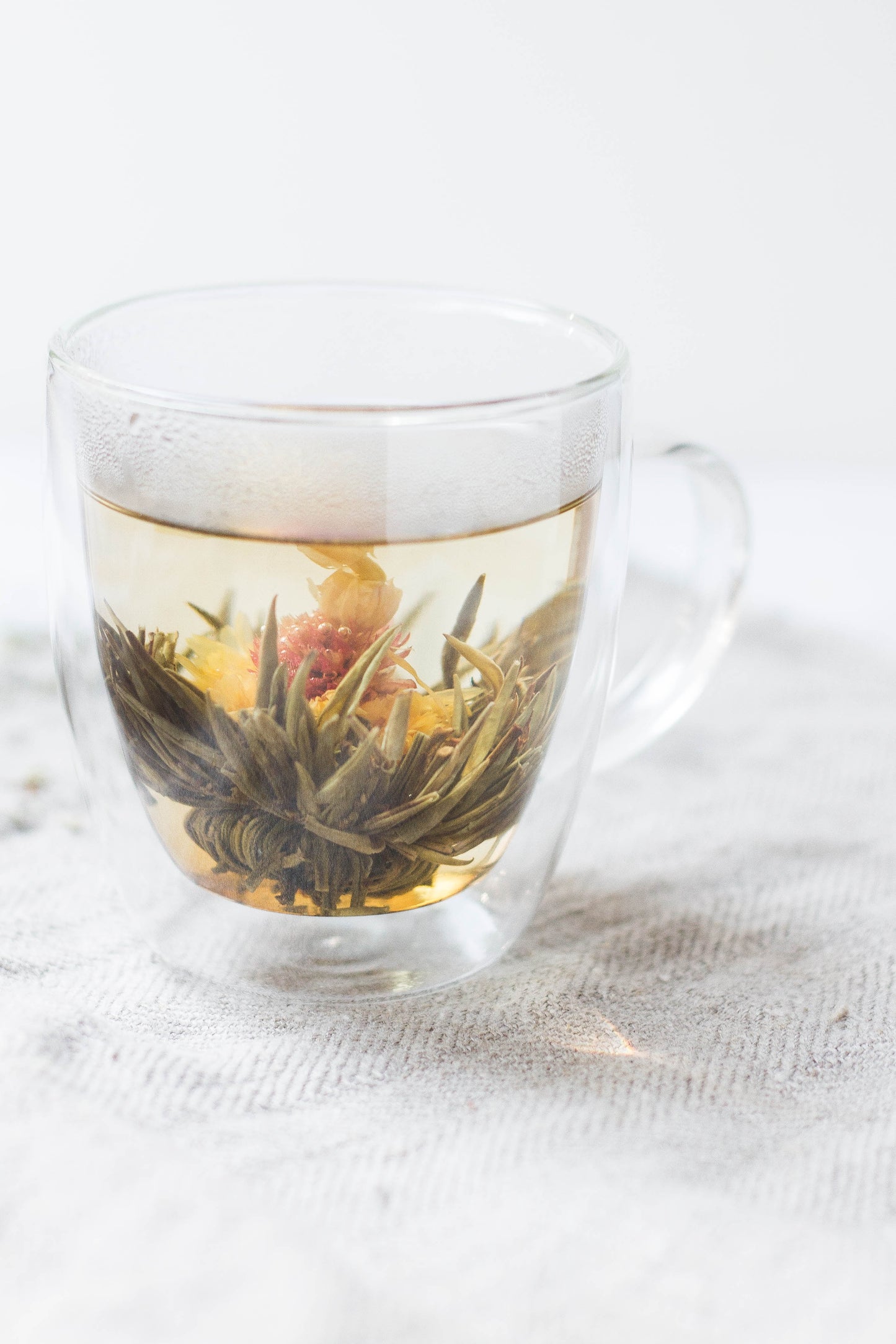 Passionfruit Potion