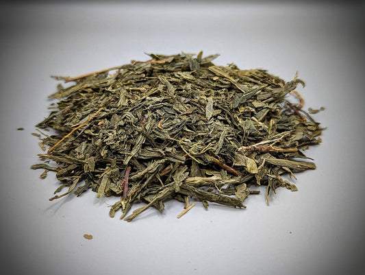 Sencha Green Tea Camellia’s senses